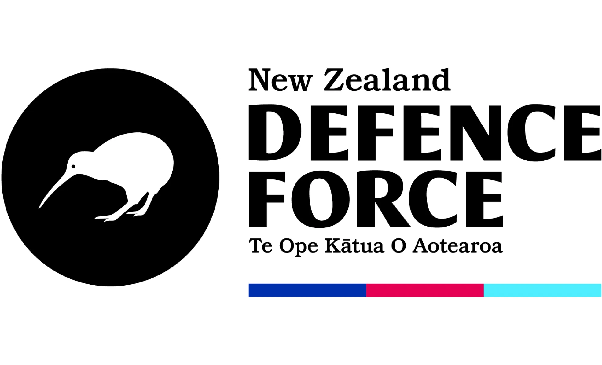 nzdf sm