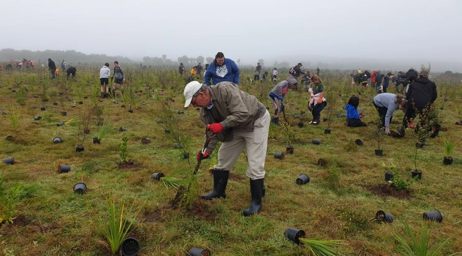 bruce clarkson planting tree 1