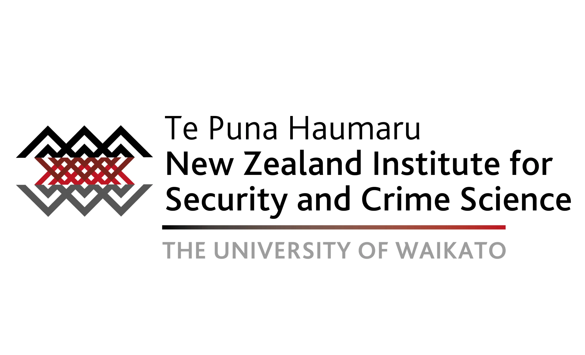 institute for security and crime science