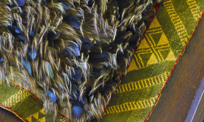 taonga copy