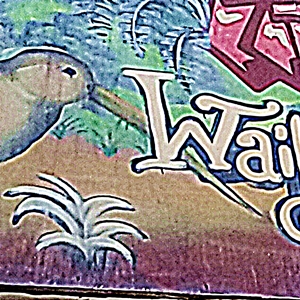 waikato uni kiwi square