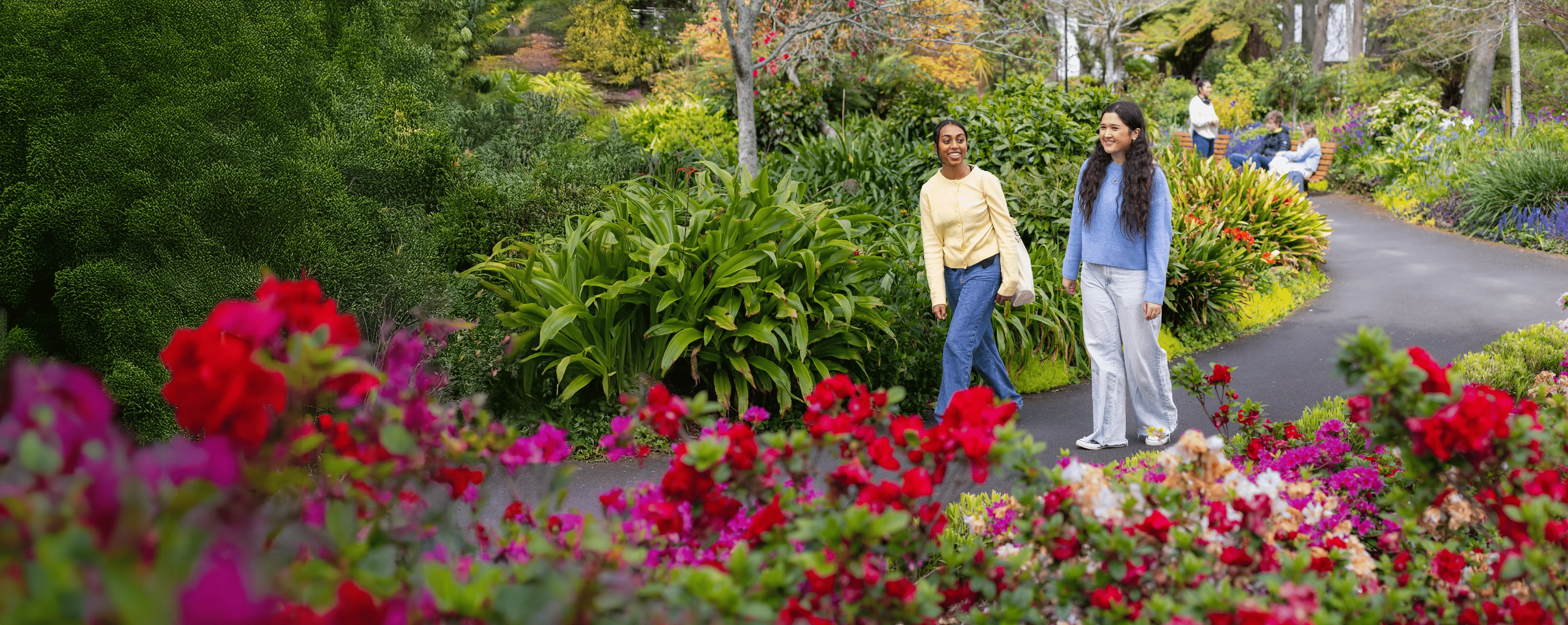 two-students-walking-through-flowers-desktop