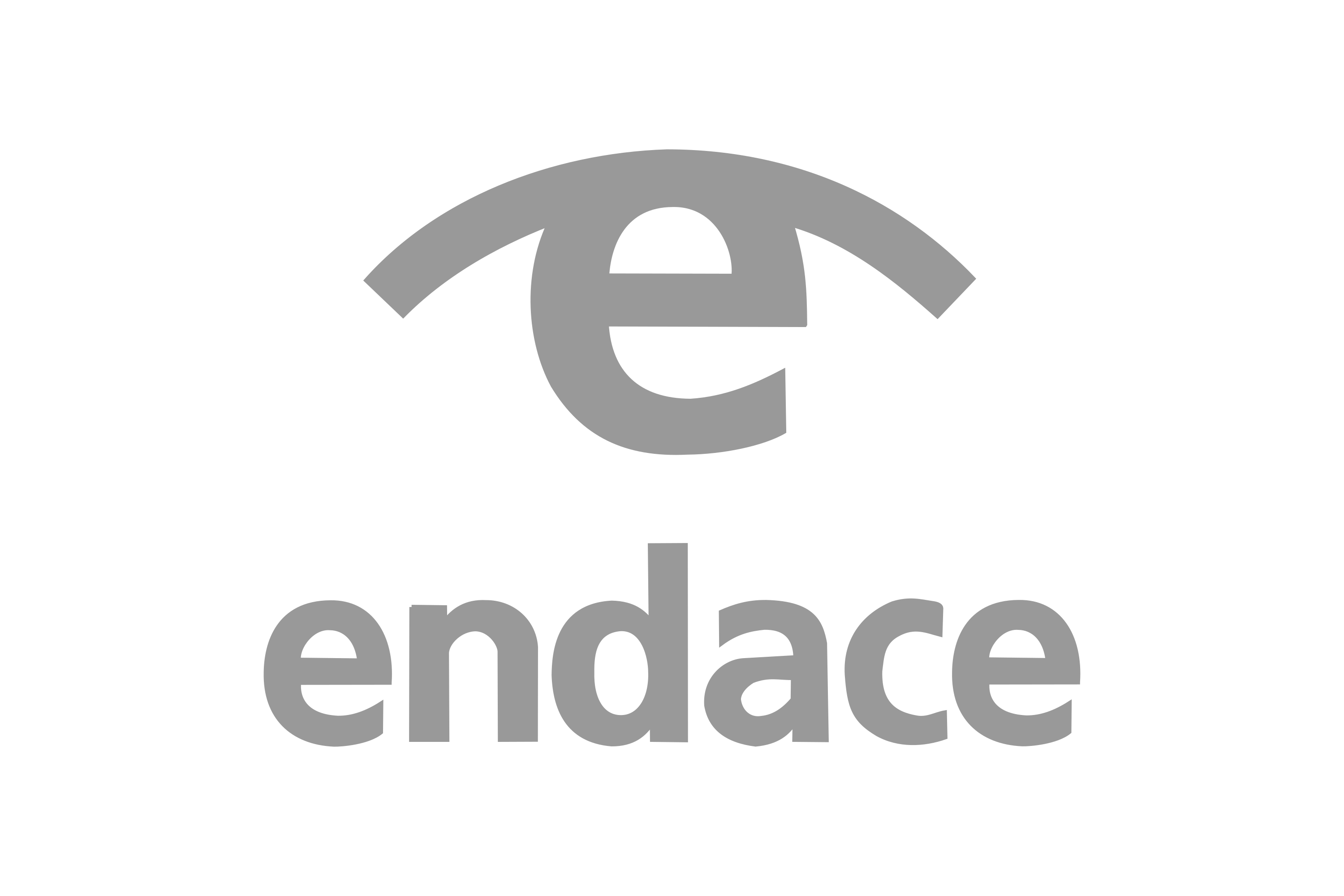 Endace Logo