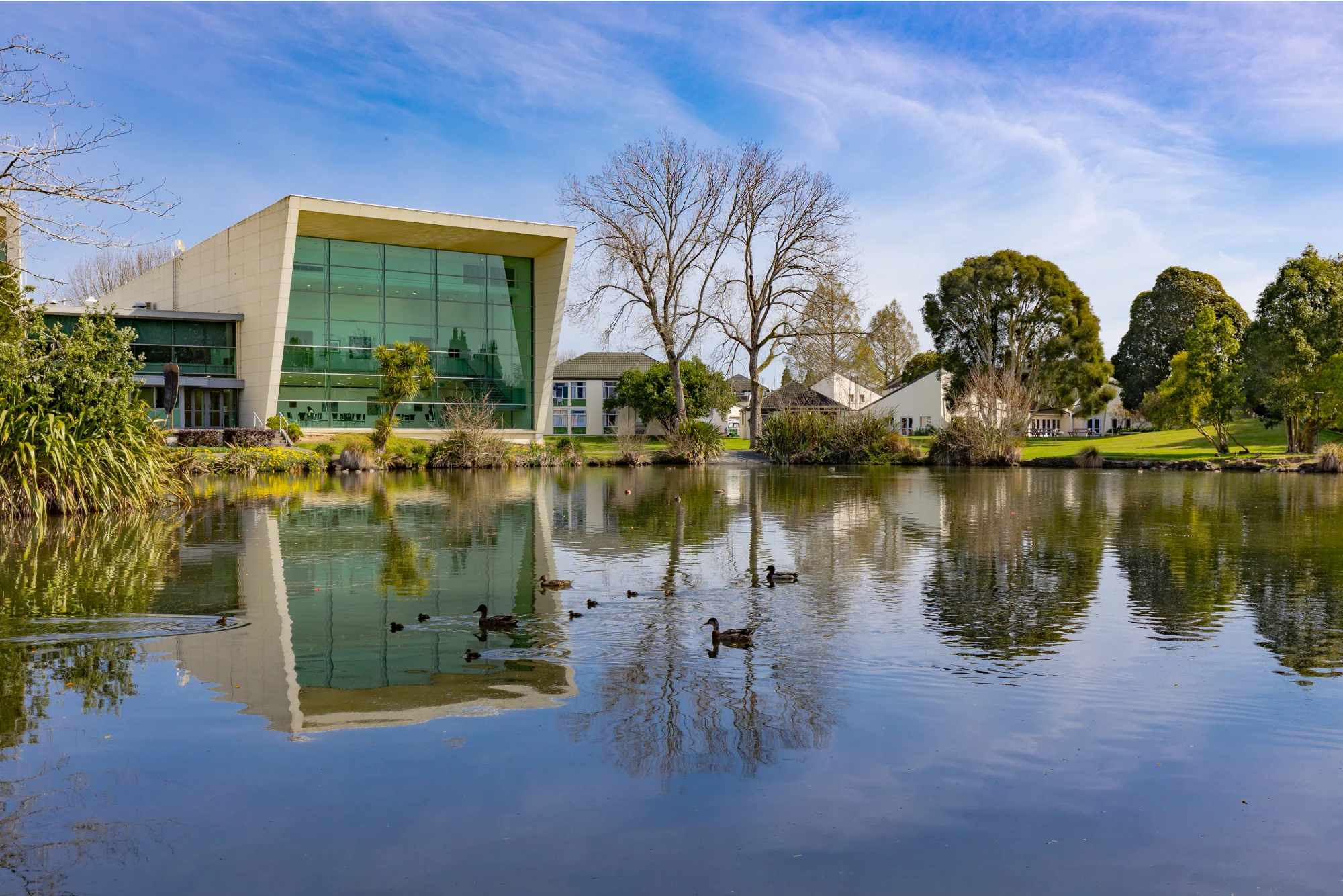 8467 photos of blossoms around campus 6